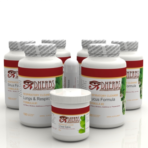 Dherbs full body cleanse reviews