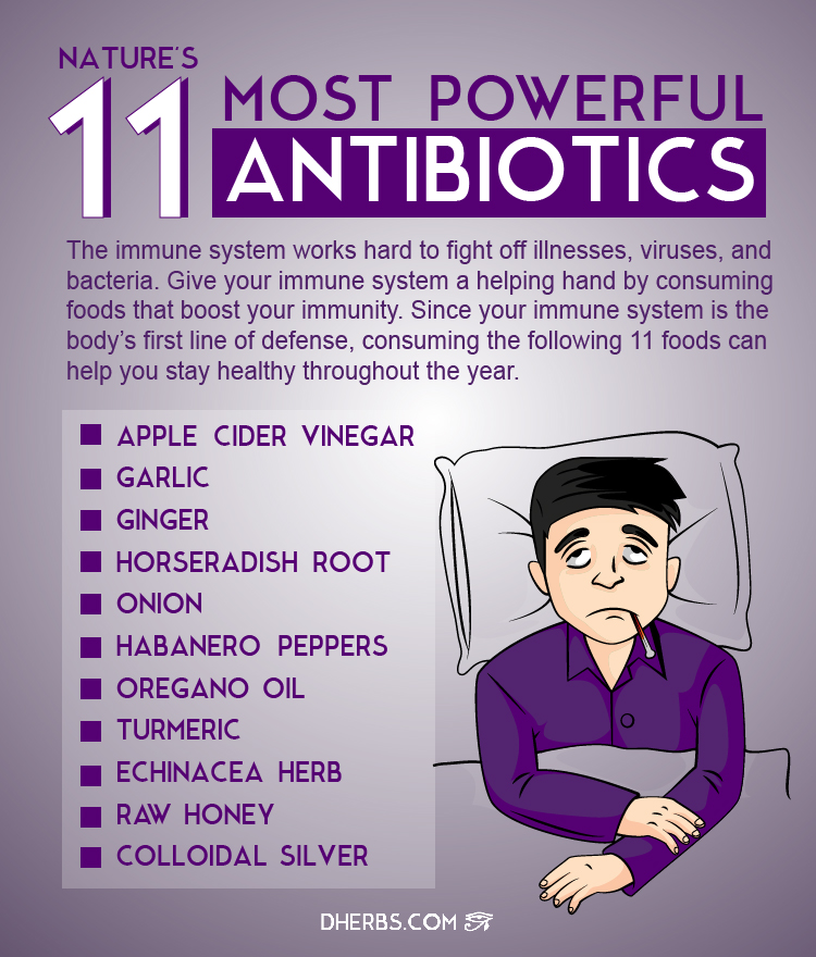 Infographic nature s 11 most powerful antibiotics dherbs the best
